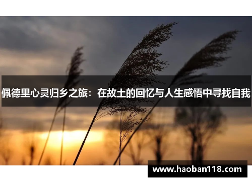 佩德里心灵归乡之旅：在故土的回忆与人生感悟中寻找自我