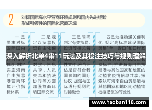深入解析北单4串11玩法及其投注技巧与规则理解
